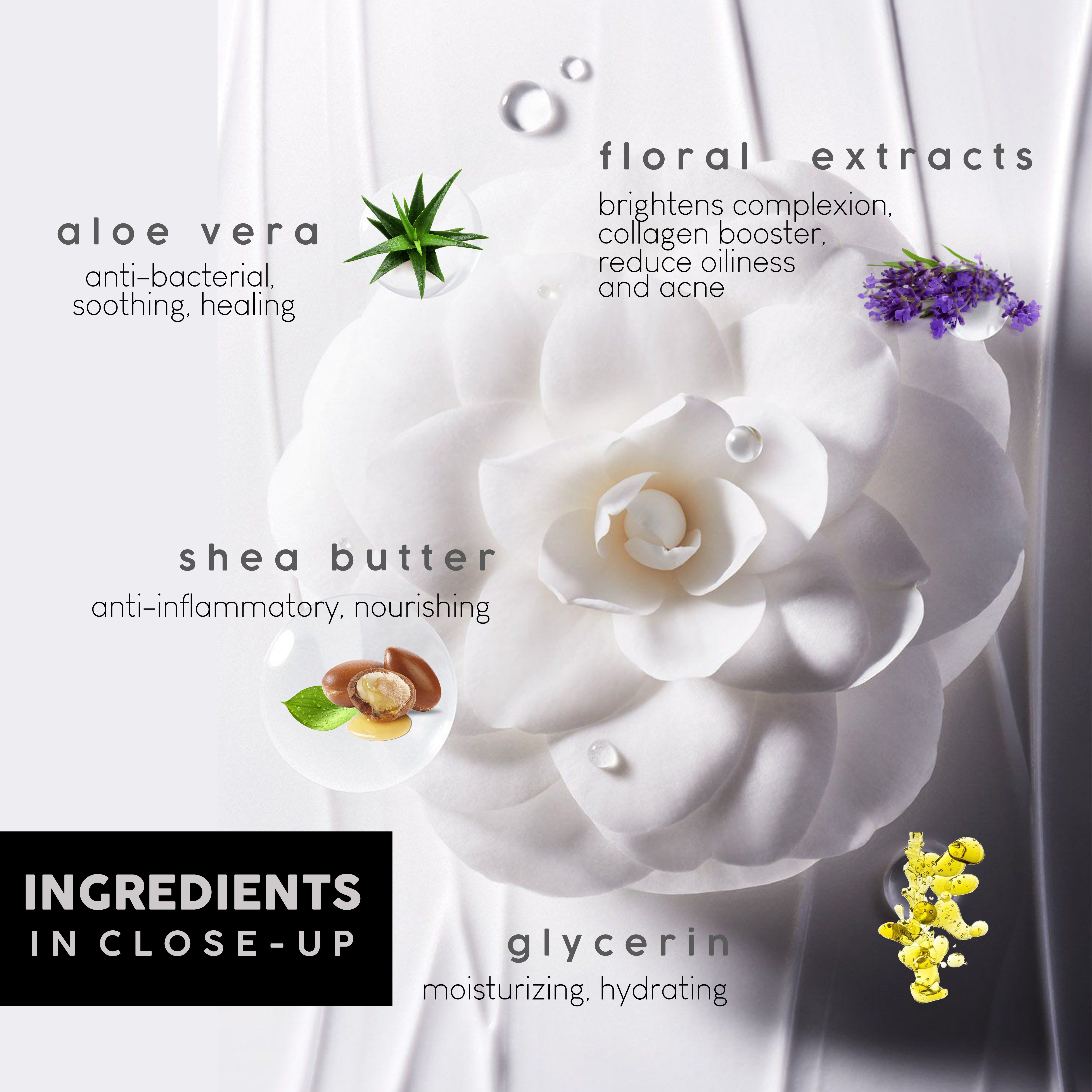 [C'A] BÆSIC F.O.A.Moussant Body Series (Flower) 500ml